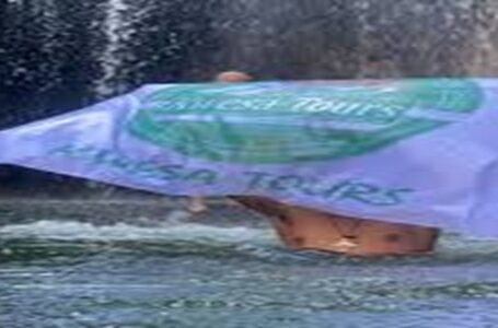 Kwesa Tours