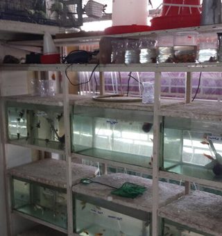 Eastern Total Supplies