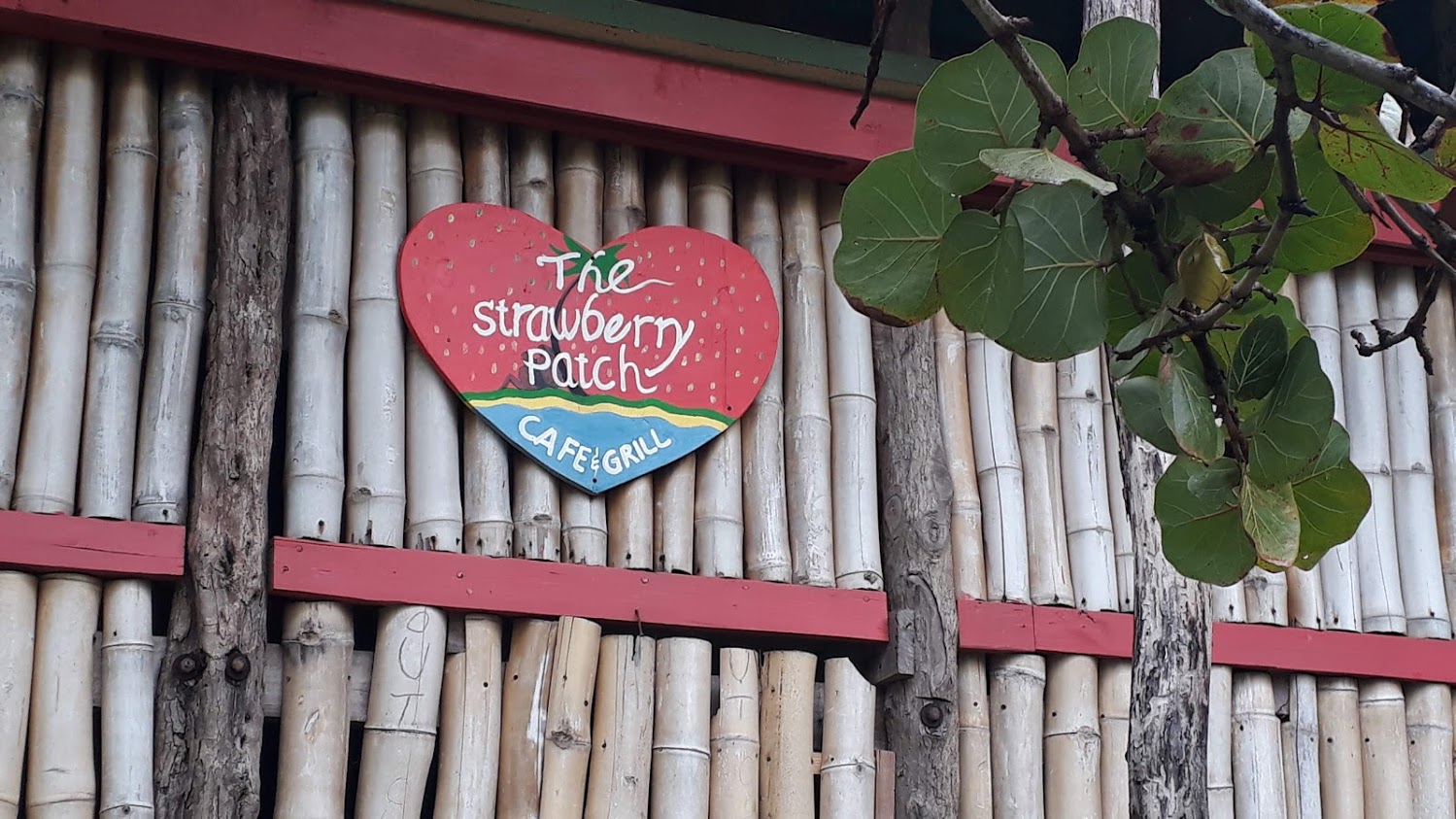 Strawberry Fields Together!