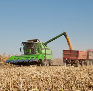 T & M Farms Equipment & Trucking